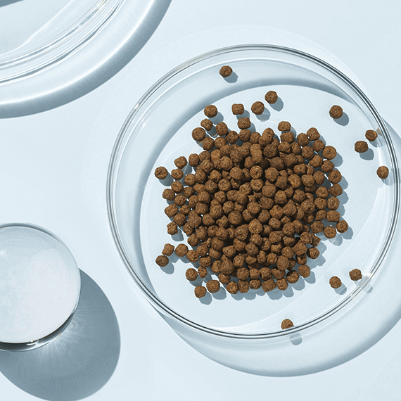 Riman Lifening Deep Talk Plus – Dietary Fiber & Prebiotic Supplement