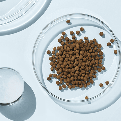 Riman Lifening Deep Talk Plus – Dietary Fiber & Prebiotic Supplement