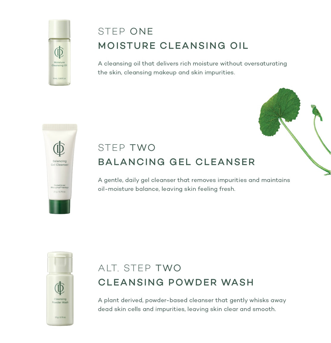 ICD Cleansing Experience Kit (3 Items)