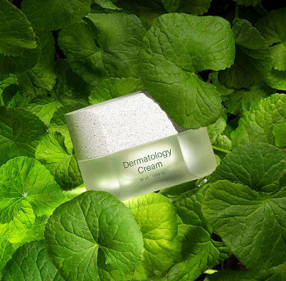 Riman Incellderm Active Cream EX – Deeply Hydrating & Conditioning Face Moisturizer